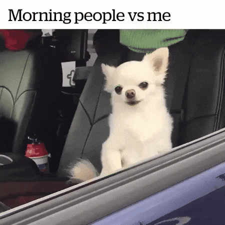Not A Morning Person GIFs - Find & Share on GIPHY
Christian Gratitude Journal